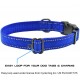 Max and Neo NEO Reflective Nylon Dog Collar with Buckle - X-Small, Teal Max and Neo NEO Reflective Nylon Dog Collar with Buckle - X-Small, Teal