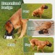 Mayerzon Dog Muzzle, Patented Mesh Muzzle with Space for Large, Medium and Small Dogs, Soft Mouth Guard for Biting and Eating, Grooming, Vet, Visiting Mayerzon Dog Muzzle, Patented Mesh Muzzle with Space for Large, Medium and Small Dogs, Soft Mouth Guard for Biting and Eating, Grooming, Vet, Visiting