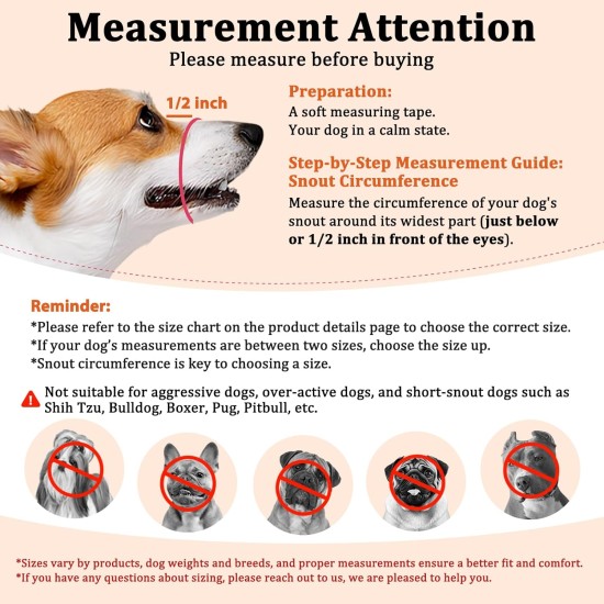 Mayerzon Dog Muzzle Soft Mesh Muzzle for Small Medium Large Dogs Chihuahua Poodle Husky Labrador Retriever Breathable Dog Mouth Guard for Biting Chewing Grooming Mayerzon Dog Muzzle Soft Mesh Muzzle for Small Medium Large Dogs Chihuahua Poodle Husky Labrador Retriever Breathable Dog Mouth Guard for Biting Chewing Grooming