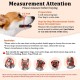 Mayerzon Dog Muzzle Soft Mesh Muzzle for Small Medium Large Dogs Chihuahua Poodle Husky Labrador Retriever Breathable Dog Mouth Guard for Biting Chewing Grooming Mayerzon Dog Muzzle Soft Mesh Muzzle for Small Medium Large Dogs Chihuahua Poodle Husky Labrador Retriever Breathable Dog Mouth Guard for Biting Chewing Grooming