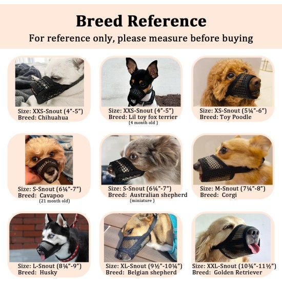 Mayerzon Hund Maulkorb, Soft Mesh Maulkörbe für kleine mittlere große Hunde Chihuahua Pudel Husky Labrador Retriever, atmungsaktiv Hund Maulkorb für Beißen Kauen Grooming, erlauben Hecheln Trinken. XS Mayerzon Hund Maulkorb, Soft Mesh Maulkörbe für kleine mittlere große Hunde Chihuahua Pudel Husky Labrador Retriever, atmungsaktiv Hund Maulkorb für Beißen Kauen Grooming, erlauben Hecheln Trinken. XS