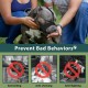 Mayerzon Pitbull Muzzle, Soft Dog Muzzle Anti-slip Strap for American Bull Bulldog Boxer Rottweiler Fabric Mouth Guard for Medium Large Short Snout Anti Biting Chewing Mayerzon Pitbull Muzzle, Soft Dog Muzzle Anti-slip Strap for American Bull Bulldog Boxer Rottweiler Fabric Mouth Guard for Medium Large Short Snout Anti Biting Chewing