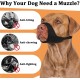 Mayerzon Pitbull Muzzle, Soft Muzzle for American Bully Bulldog Boxer Rottweiler, Anti Biting Chewing Fight Muzzle for Grooming, Fabric Muzzle for Medium Large Short Snout Dog Mayerzon Pitbull Muzzle, Soft Muzzle for American Bully Bulldog Boxer Rottweiler, Anti Biting Chewing Fight Muzzle for Grooming, Fabric Muzzle for Medium Large Short Snout Dog
