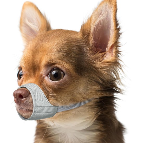 Mayerzon Short Snout Dog Muzzle, Small Muzzle for Chihuahua, Shih Tzu, American Bully Boxer Puppies, Soft Fabric Muzzles for Grooming, Veterinarian Visits, Prevents Biting Mayerzon Short Snout Dog Muzzle, Small Muzzle for Chihuahua, Shih Tzu, American Bully Boxer Puppies, Soft Fabric Muzzles for Grooming, Veterinarian Visits, Prevents Biting