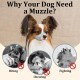 Mayerzon Short Snout Dog Muzzle, Small Muzzle for Chihuahua, Shih Tzu, American Bully Boxer Puppies, Soft Fabric Muzzles for Grooming, Veterinarian Visits, Prevents Biting