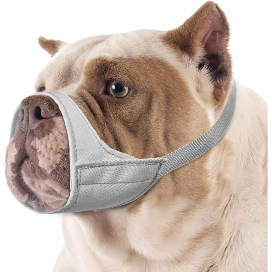 Mayerzon Short Snout Dog Muzzle, Small Muzzle for Chihuahua, Shih Tzu, American Bully Boxer Puppies, Soft Fabric Muzzles for Grooming, Veterinarian Visits, Prevents Biting Mayerzon Short Snout Dog Muzzle, Small Muzzle for Chihuahua, Shih Tzu, American Bully Boxer Puppies, Soft Fabric Muzzles for Grooming, Veterinarian Visits, Prevents Biting
