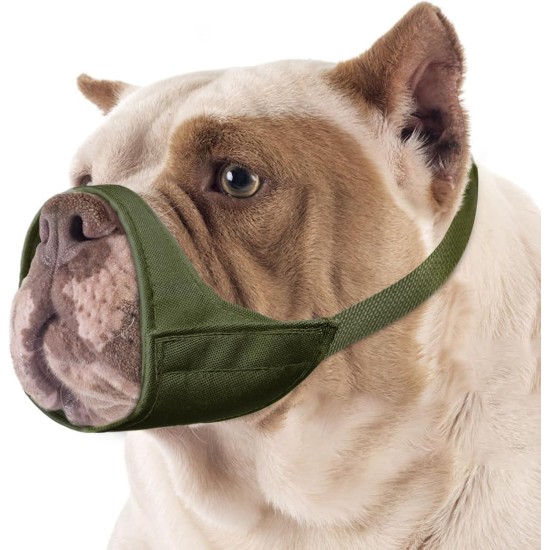 Mayerzon Short Snout Dog Muzzle, Small Muzzle for Chihuahua, Shih Tzu, American Bully Boxer Puppies, Soft Fabric Muzzles for Grooming, Veterinarian Visits, Prevents Biting Mayerzon Short Snout Dog Muzzle, Small Muzzle for Chihuahua, Shih Tzu, American Bully Boxer Puppies, Soft Fabric Muzzles for Grooming, Veterinarian Visits, Prevents Biting