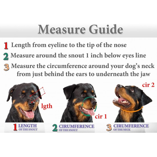 Metal Muzzles for Rottweiler Dogs (#2) - Wire Basket Adjustable Leather Straps - Muzzle Circumference is 10-14.5 inches, Length is 2.7-3.5 inches Metal Muzzles for Rottweiler Dogs (#2) - Wire Basket Adjustable Leather Straps - Muzzle Circumference is 10-14.5 inches, Length is 2.7-3.5 inches