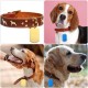 Metallic Blank Stamp Plates, 1.77 x 1.02 Inch Golden Blank Dog Tags for DIY Engraving Pet ID Tags, Pendant Decoration, Craft Tags, Pack of 10 Metallic Blank Stamp Plates, 1.77 x 1.02 Inch Golden Blank Dog Tags for DIY Engraving Pet ID Tags, Pendant Decoration, Craft Tags, Pack of 10