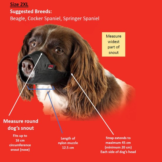 Mikki Dog Friendly Training Muzzle Easy Fit for Small Dogs, Size 1 Mikki Dog Friendly Training Muzzle Easy Fit for Small Dogs, Size 1