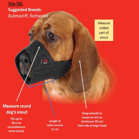Mikki Dog Friendly Training Muzzle Easy Fit for Small Dogs, Size 1 Mikki Dog Friendly Training Muzzle Easy Fit for Small Dogs, Size 1