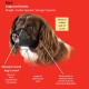 Mikki Dog Friendly Training Muzzle Easy Fit for Small Dogs, Size 1 Mikki Dog Friendly Training Muzzle Easy Fit for Small Dogs, Size 1