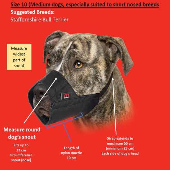 Mikki Dog Friendly Training Muzzle Easy Fit for Small Dogs, Size 1 Mikki Dog Friendly Training Muzzle Easy Fit for Small Dogs, Size 1