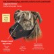 Mikki Dog Friendly Training Muzzle Easy Fit for Small Dogs, Size 1 Mikki Dog Friendly Training Muzzle Easy Fit for Small Dogs, Size 1