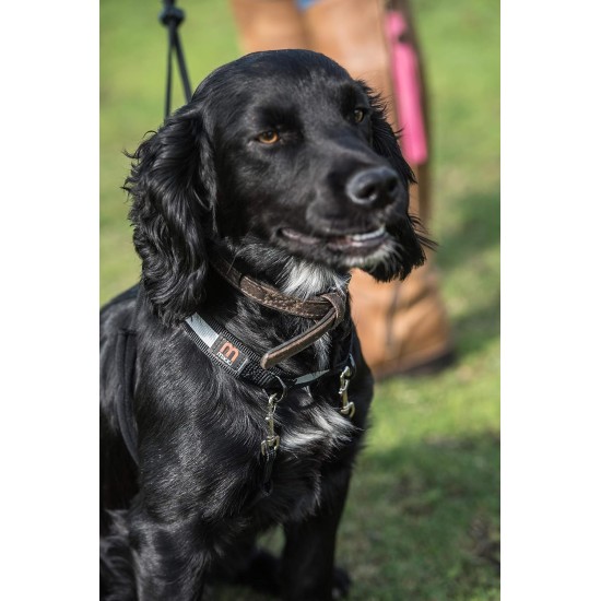 Mikki Training Anti-Pull Harness with Reflective Collar, Black, Large Mikki Training Anti-Pull Harness with Reflective Collar, Black, Large