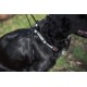 Mikki Training Anti-Pull Harness with Reflective Collar, Black, Large Mikki Training Anti-Pull Harness with Reflective Collar, Black, Large