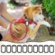 Military Dog Tag Silencer Silicone Muffler Kit for Pet Tags Black Low Noise ID Dog Collar Tags Case Cover Noise Reducing Army Rubber Protection Military Dog Tag Silencer Silicone Muffler Kit for Pet Tags Black Low Noise ID Dog Collar Tags Case Cover Noise Reducing Army Rubber Protection