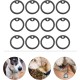 Mipcase Pack of 12 Pet Tags Tag Dog Tag Dog Tag Silicone Dog Tag Pet Tag Label Rubber Band Protection Black Mipcase Pack of 12 Pet Tags Tag Dog Tag Dog Tag Silicone Dog Tag Pet Tag Label Rubber Band Protection Black
