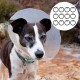 Mipcase Pack of 12 Pet Tags Tag Dog Tag Dog Tag Silicone Dog Tag Pet Tag Label Rubber Band Protection Black Mipcase Pack of 12 Pet Tags Tag Dog Tag Dog Tag Silicone Dog Tag Pet Tag Label Rubber Band Protection Black