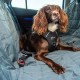Mountain Paws Dog Seat Belt for Cars, Dog Harness for Car, Fully Adjustable with Durable Webbing Mountain Paws Dog Seat Belt for Cars, Dog Harness for Car, Fully Adjustable with Durable Webbing