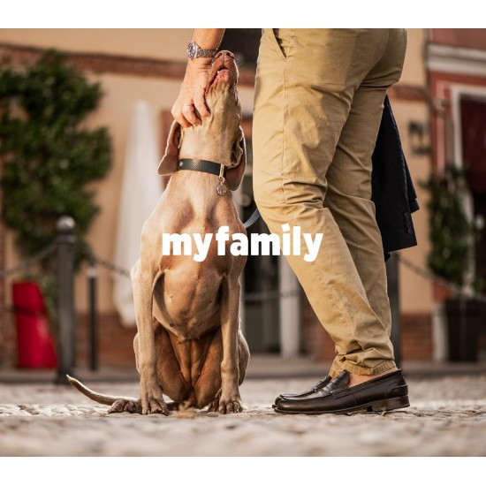 My Family Dog Name Tags 50g My Family Dog Name Tags 50g