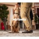 My Family Dog Name Tags 50g My Family Dog Name Tags 50g