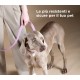 My Family Dog Name Tags 50g My Family Dog Name Tags 50g