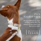 NINA WOOF Copenhagen Leather Dog Collar, Handmade from Vegan Soft Leather, Round, Padded Collar with Adjustable Buckle for Extra Small, Small, Medium and Large Dogs NINA WOOF Copenhagen Leather Dog Collar, Handmade from Vegan Soft Leather, Round, Padded Collar with Adjustable Buckle for Extra Small, Small, Medium and Large Dogs