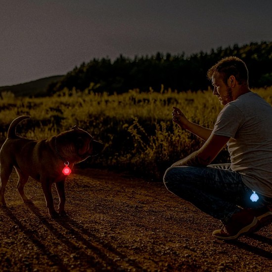 NOVKIN 2 x Dog Light with Rechargeable USB Collar Light, IP67 Waterproof, LED Dog Safety Lights for Night Walks (Rainbow and Rainbow) NOVKIN 2 x Dog Light with Rechargeable USB Collar Light, IP67 Waterproof, LED Dog Safety Lights for Night Walks (Rainbow and Rainbow)