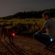 NOVKIN 2 x Dog Light with Rechargeable USB Collar Light, IP67 Waterproof, LED Dog Safety Lights for Night Walks (Rainbow and Rainbow) NOVKIN 2 x Dog Light with Rechargeable USB Collar Light, IP67 Waterproof, LED Dog Safety Lights for Night Walks (Rainbow and Rainbow)