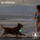 NOVKIN 2 x Dog Light with Rechargeable USB Collar Light, IP67 Waterproof, LED Dog Safety Lights for Night Walks (Rainbow and Rainbow) NOVKIN 2 x Dog Light with Rechargeable USB Collar Light, IP67 Waterproof, LED Dog Safety Lights for Night Walks (Rainbow and Rainbow)