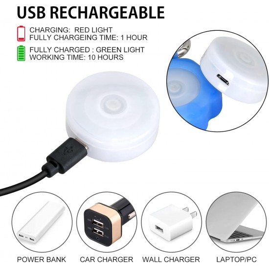 NOVKIN 2 x Dog Light with Rechargeable USB Collar Light, IP67 Waterproof, LED Dog Safety Lights for Night Walks (Rainbow and Rainbow) NOVKIN 2 x Dog Light with Rechargeable USB Collar Light, IP67 Waterproof, LED Dog Safety Lights for Night Walks (Rainbow and Rainbow)