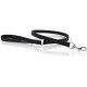 NY Marting Basic Dog Collars NY Marting Basic Dog Collars