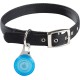 Nite Ize Wearabout™ Pet Clippable Tracker Holder - Blue Nite Ize Wearabout™ Pet Clippable Tracker Holder - Blue