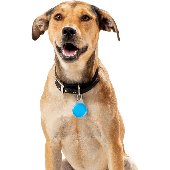 Nite Ize Wearabout™ Pet Clippable Tracker Holder - Blue Nite Ize Wearabout™ Pet Clippable Tracker Holder - Blue