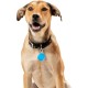 Nite Ize Wearabout™ Pet Clippable Tracker Holder - Blue Nite Ize Wearabout™ Pet Clippable Tracker Holder - Blue