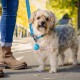 Nite Ize Wearabout™ Pet Clippable Tracker Holder - Blue Nite Ize Wearabout™ Pet Clippable Tracker Holder - Blue