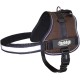 Nobby 80580-05 Nylon Seguro Harness, Small/Medium, Black Nobby 80580-05 Nylon Seguro Harness, Small/Medium, Black