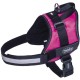 Nobby 80580-05 Nylon Seguro Harness, Small/Medium, Black Nobby 80580-05 Nylon Seguro Harness, Small/Medium, Black