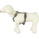 Nobby Dog Harness - Classic Nobby Dog Harness - Classic