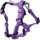 Nobby Dog Harness - Classic Nobby Dog Harness - Classic