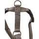 Nobby Dog Harness - Classic Nobby Dog Harness - Classic