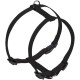 Nobby Dog Harness - Classic Nobby Dog Harness - Classic