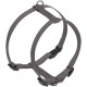 Nobby Dog Harness - Classic Nobby Dog Harness - Classic