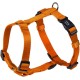 Nobby Dog Harness - Classic Nobby Dog Harness - Classic