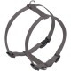 Nobby Dog Harness - Classic Nobby Dog Harness - Classic