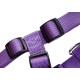 Nobby Dog Harness - Classic Nobby Dog Harness - Classic