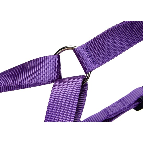 Nobby Dog Harness - Classic Nobby Dog Harness - Classic