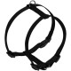 Nobby Dog Harness - Classic Nobby Dog Harness - Classic
