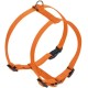 Nobby Dog Harness - Classic Nobby Dog Harness - Classic
